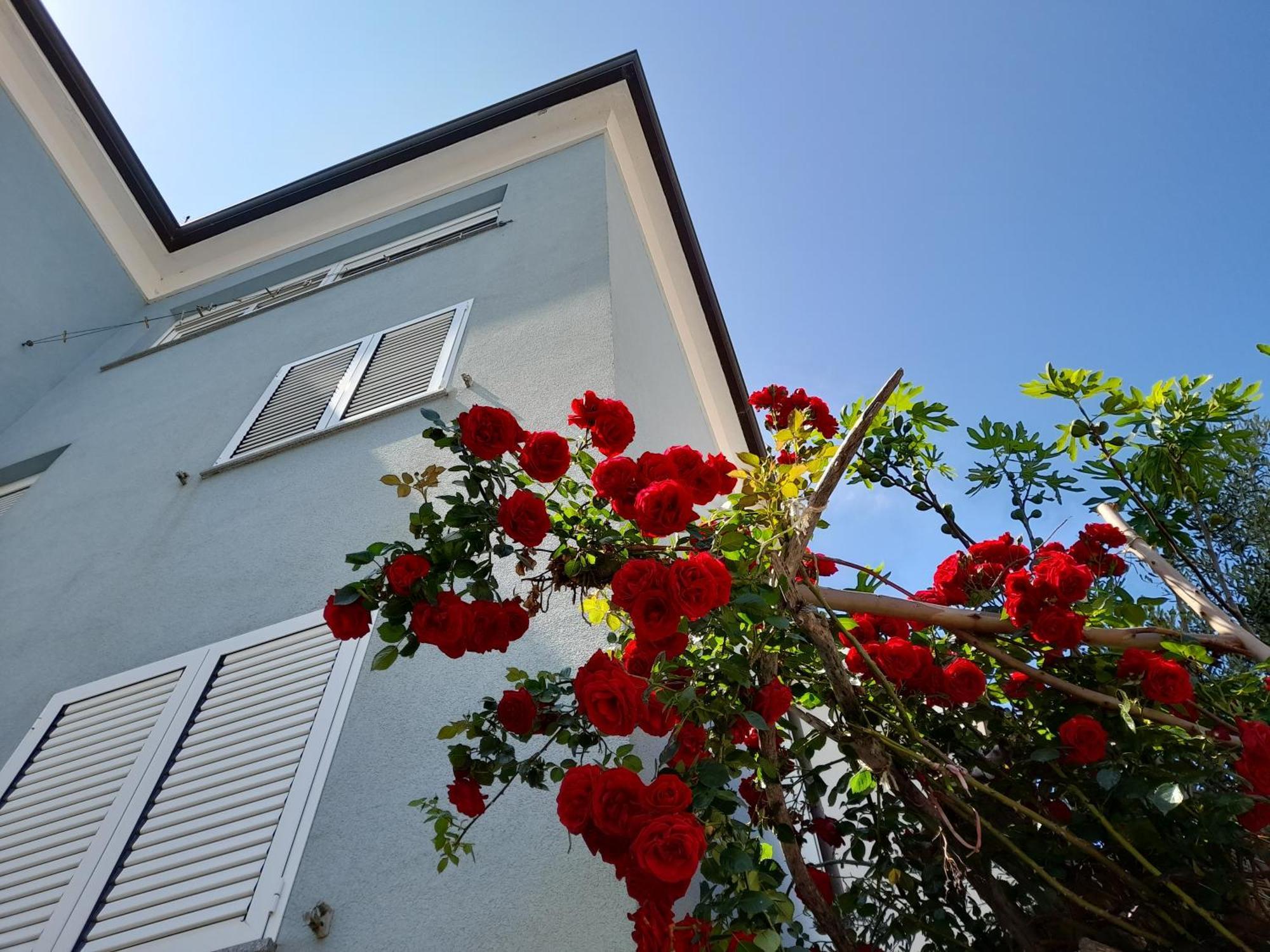 Apartament Lea