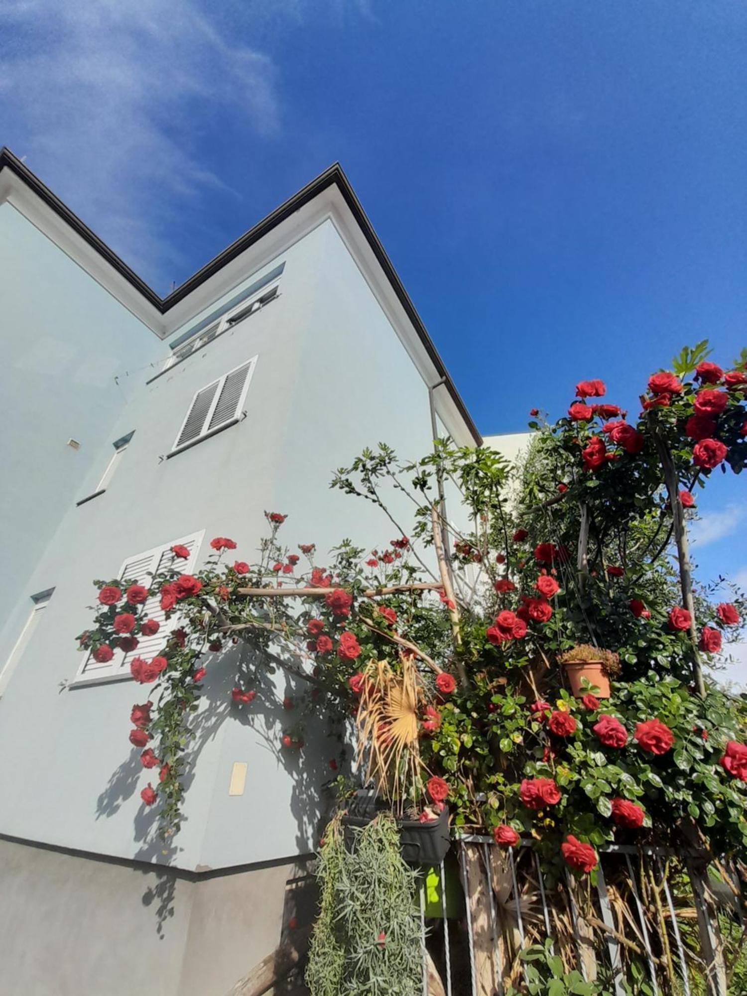 Apartma Lea Rovinj