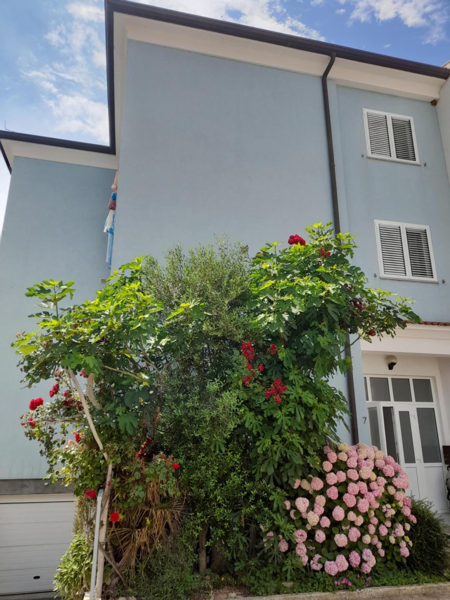 Lea Apartma