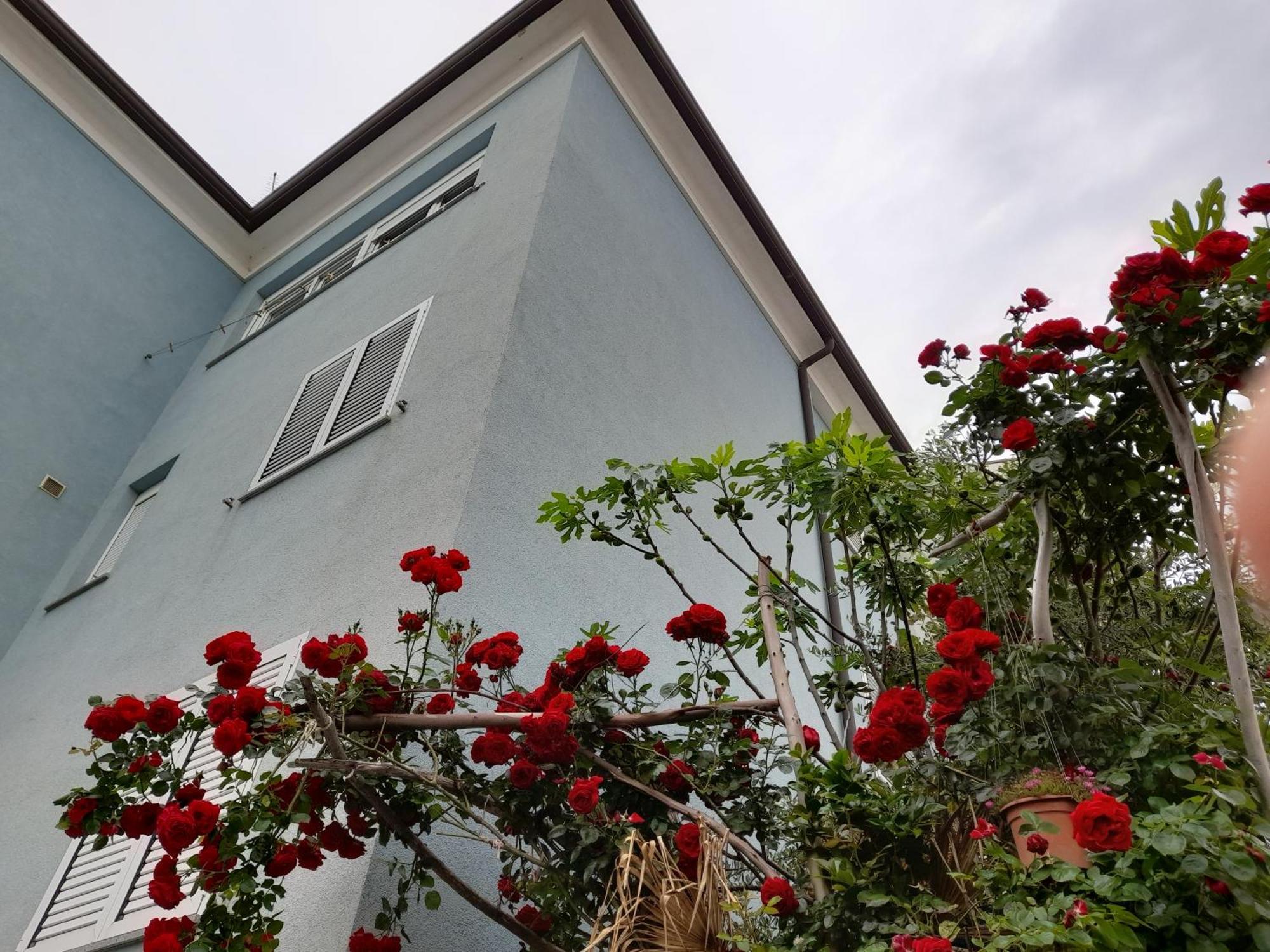 Apartma Lea Rovinj