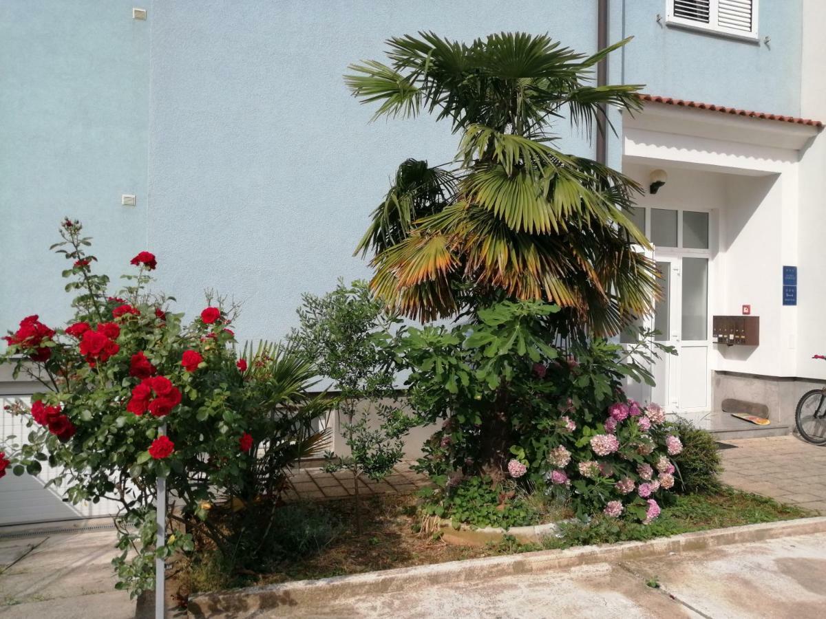 Apartma Lea Rovinj